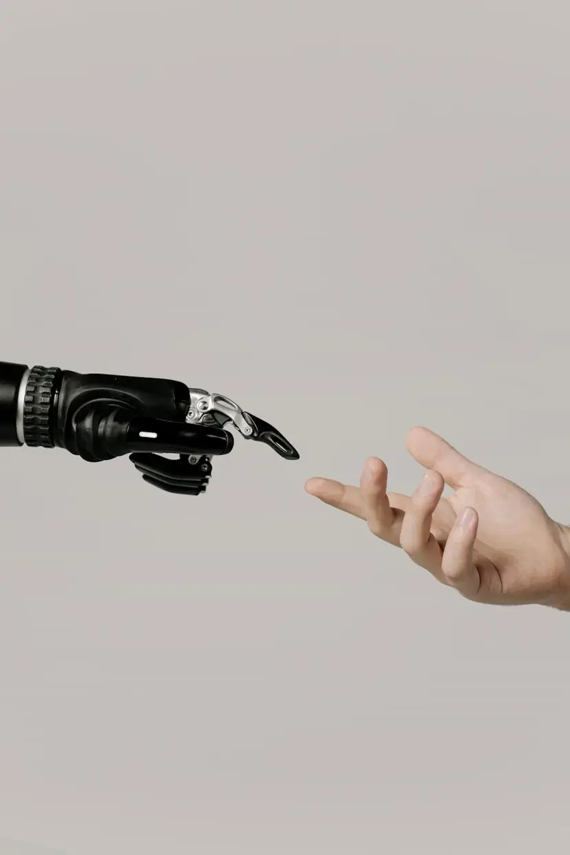 AI Model Training & Code Review