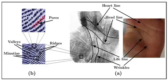 Palmprint Recognition with Self-Supervised Learning
