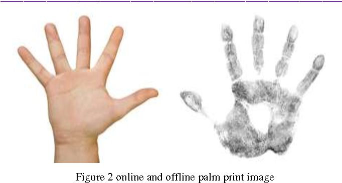 Palmprint Recognition System